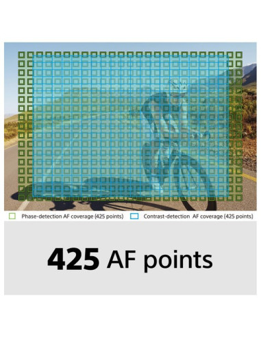 Sony A6100 + E PZ 16-50 OSS (KIT)