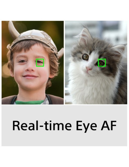 Sony A6100 + E PZ 16-50 OSS (KIT)