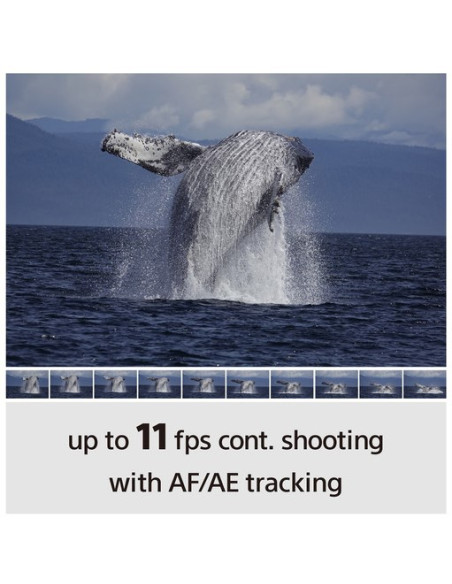 Sony A6100 + E PZ 16-50 OSS (KIT)