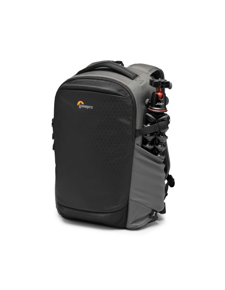 Lowepro Flipside BP 300 AW III (siv)