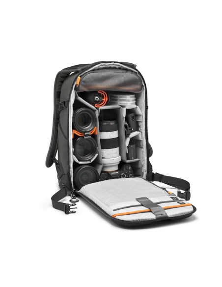 Lowepro Flipside BP 300 AW III (siv)