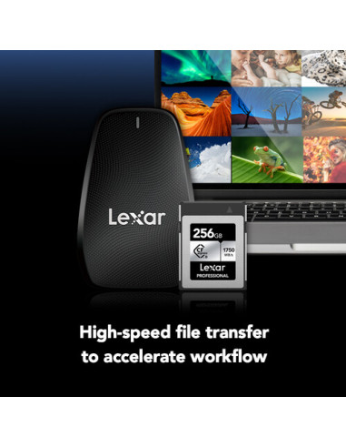 Lexar CFexpress 256 GB (R:1750/W:1300MB/s) Type B Silver