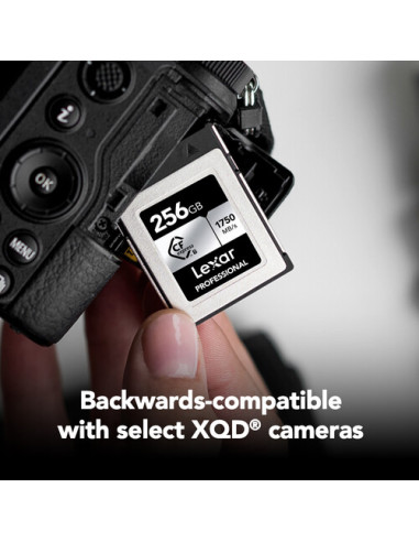 Lexar CFexpress 256 GB (R:1750/W:1300MB/s) Type B Silver