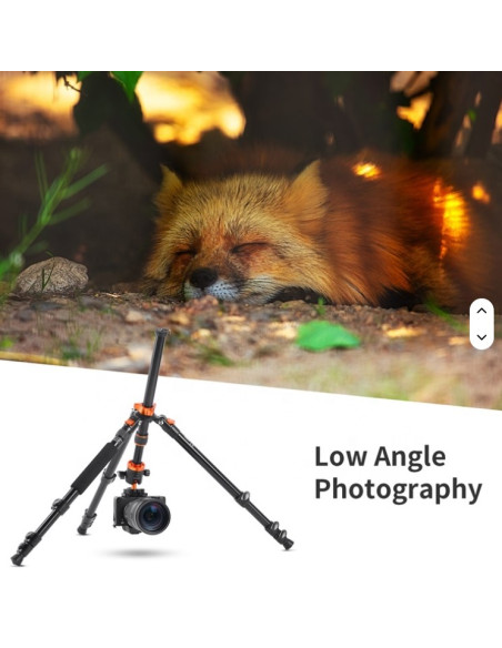 K&F Concept OverHead stojalo s krogelno glavo (K254A3+BH-28L)