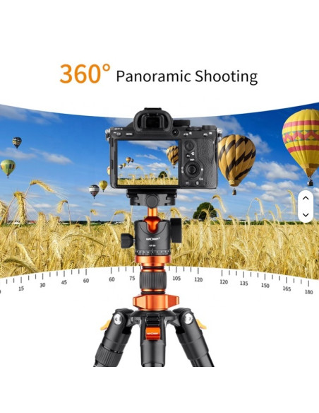 K&F Concept OverHead stojalo s krogelno glavo (K254A3+BH-28L)