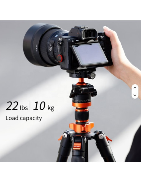 K&F Concept OverHead stojalo s krogelno glavo (K254A3+BH-28L)