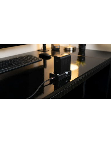 Newell univerzalni USB napajalni adapter za Sony NP-F baterije