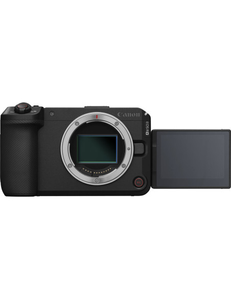 Canon EOS R6 V (body)