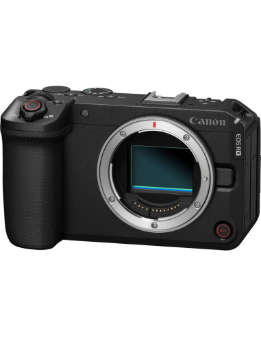 Canon EOS R6 V (body)