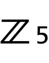 Nikon Z 5